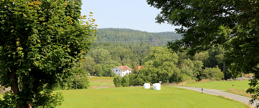 Gröna ängar och skog i Morjhult utanför Töllsjö.